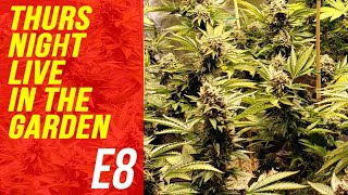 LIVE In The Garden - E8