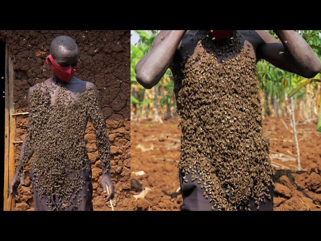 A Man Covered With Thousands Of Bees On His Body : EXTRAORDINARY PEOPLE class=