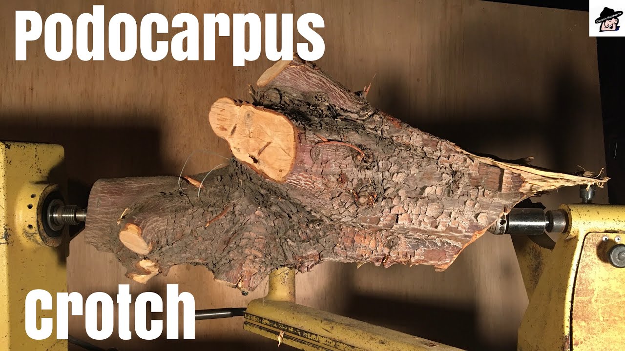 Woodturning-Podocarpus Crotch , where all the beauty is found