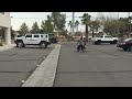 Dog Trainer walking 3 dogs at once in synch.