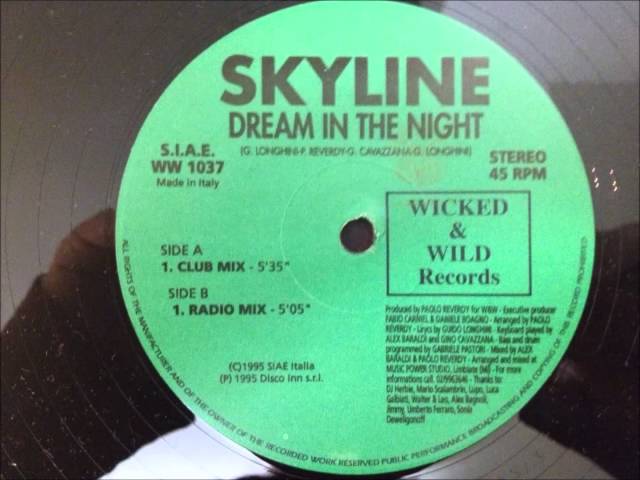 Skyline - Dream In The Night class=