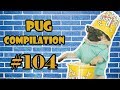 Pug Compilation 104  - Funny Dogs but only Pug Videos | Instapugs