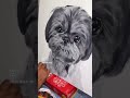 #rgv956 #portrait #paint #art #dog #shihtzu #painting #relax