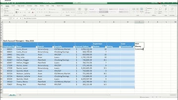 Excel Module 6 Walkthrough