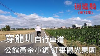 逍遙騎(72集) 苗栗 公館黃金小鎮 紅棗觀光果園 穿龍圳自行車道(共騎15公里 路線請參考說明）