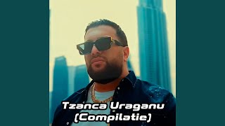 Pana la pământ