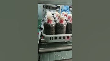 Mushroom Liquid Spawn Inoculation Line