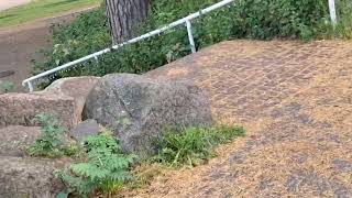 Kotkaan Menossa Video Alkaa 1 Lataus Paikassa