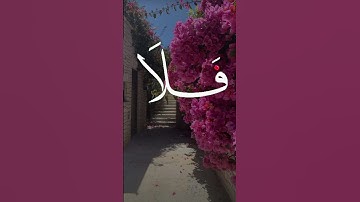 الشيخ عبد الباسط عبد الصمد 🌿#صوت_مكة #تلاوة_خاشعة #قرآن #ارح_قلبك #quran #foryou #islamic #islam