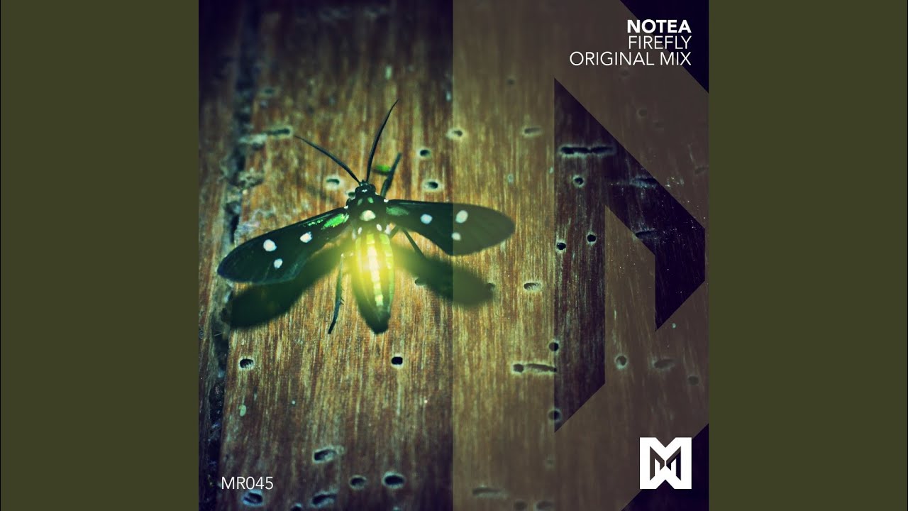 Mira Firefly (Original Mix) en YouTube