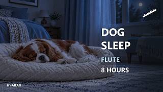 Cavalier King Charles Spaniel Sleep Music – Flute Classical BGM for Overnight Rest | 8 Hours screenshot 1