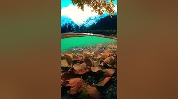 واتس اب قران كريم القارئ ياسر الدوسري (سوره التوبة)