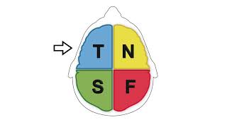 Thinking Te vs Ti