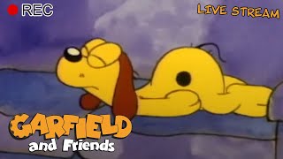 LIVE: Garfield & Friends Specials