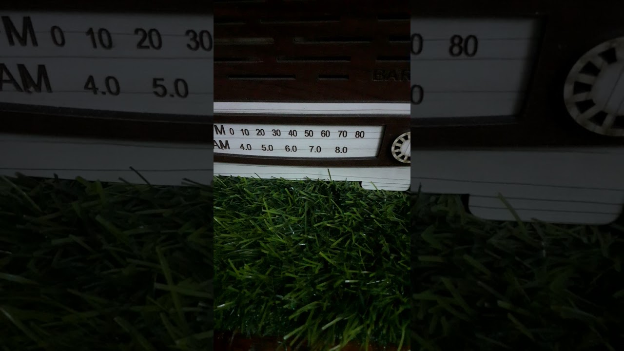 ١٨ /6/ ٢٠٢١،،،الطلعه باالطير الازرك،،،،،ابو زياد