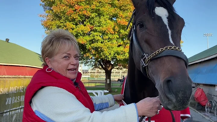 Breeders' Cup Sprint: Vickie Foley on Hog Creek Hu...