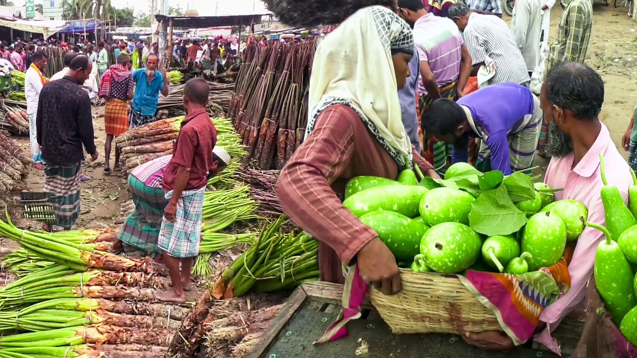 কিশোরগঞ্জের বাজিতপুরের পিরিজপুর বাজার || Panorama Haat Bazar