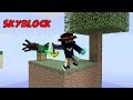 EVLENME TEKLİFİ ALDIM! (Minecraft Skyblock) - Provanas