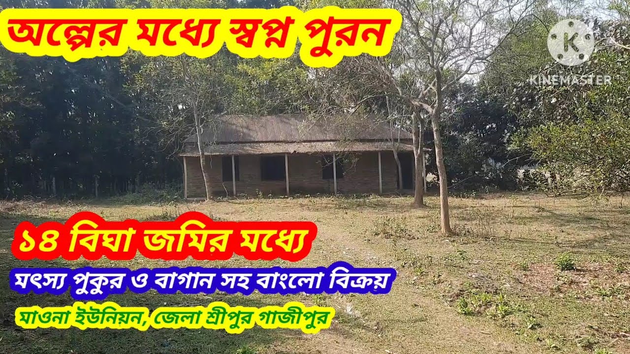 ১৪ বিঘার কৃষি প্রজেক্ট বিক্রি।। মাওনা শ্রীপুর গাজীপুর#asset seller#Agro Land Sreepur Gazipur