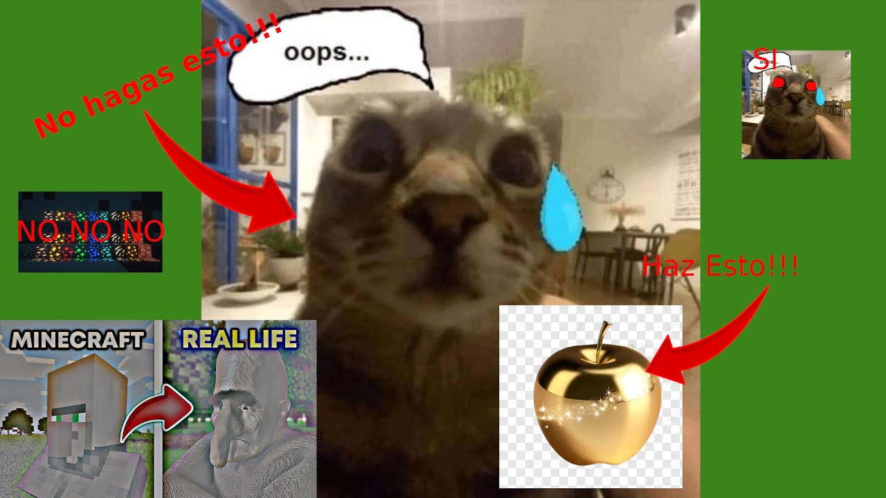 UHC A++ Reglas y Mecánicas