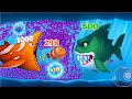 Fishdom ads minigame update 13.8🌊🦈🦈🦈 level gameplay walkthrough
