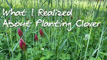 When to Plant Clover Food Plots | Food Plot Update | Farming For Whitetails