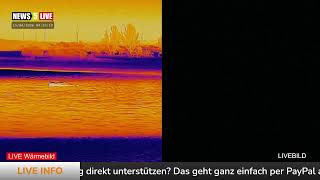 LIVE: Buckelwal 'Hope' vor der Insel Poel - Tag 23 - Teil 2