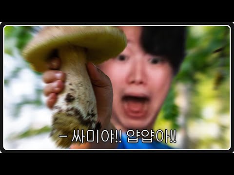 폐급 후임을 위한 <strong>독버섯</strong>