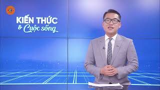 CHI TRẢ LƯƠNG HƯU, TRỢ CẤP AN SINH QUA VNEID | VTV5