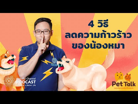 วีดีโอ: Pet Talk: ปกป้องอุ้งเท้าสุนัขของคุณ