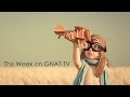 New this week on gnattv