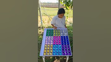 Game Challenge sort Ball Puzzle #challenge #game #puzzle #shorts #short #shortvideo #shortsvideo