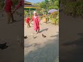burung di lapangan merdeka (16 Januari 2022)