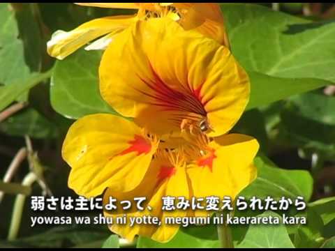 私の祈り / 大きくしよう （ローマ字付き）