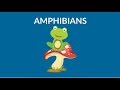 Learn about Amphibians || Amphibians Animal  || Types of Amphibians