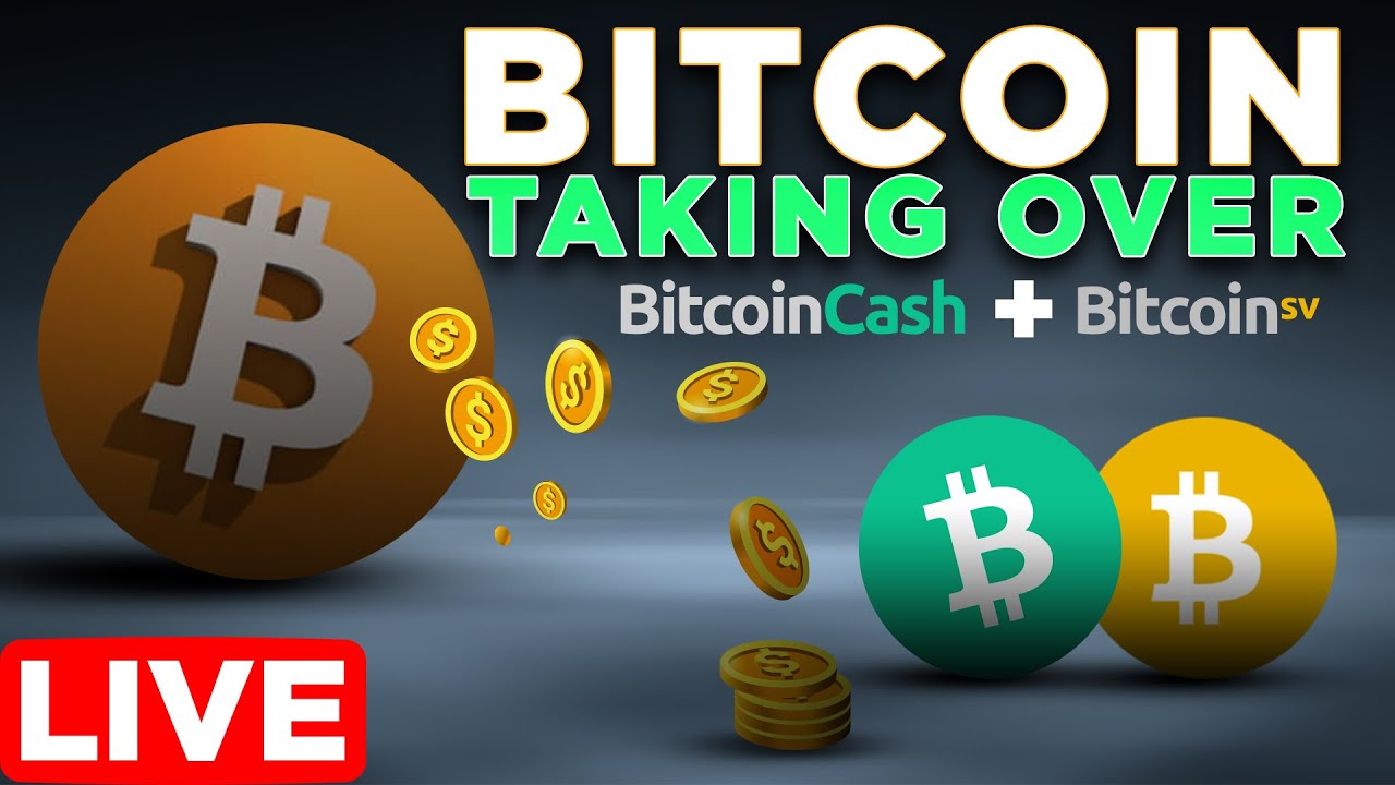 Bitcoin Taking Over BCH & BSV + Three Arrows Capital Liquidated | Bitcoin  Sentiment Update