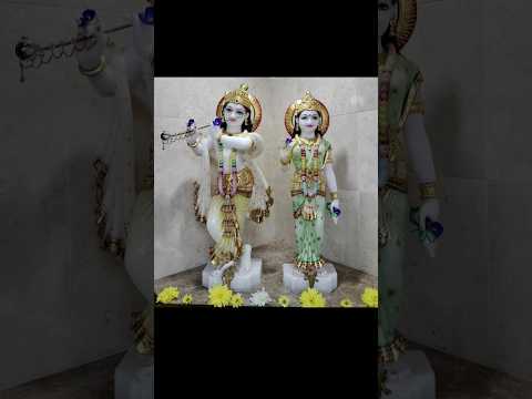 Daily Darshan Shree Swaminarayan Temple 🛕 Mauritius #devotional #temple#ytshorts