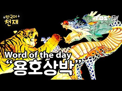 Dragon vs Tiger 💥 "용호상박" | Word of the day