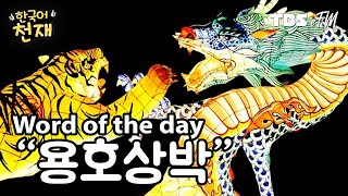 Dragon vs Tiger 💥 "용호상박" | Word of the day