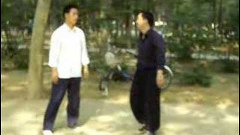 Taiji Fajing Exercise