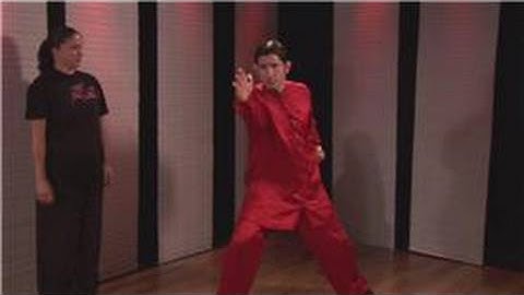 Kung Fu : Palm Block, Cat Stance & Lunge Punch Combo