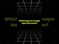 Can You Guess These Flags in 3 Seconds? Think Fast! #Shorts #Quiz #CountryQuiz #ForYou #FYP
