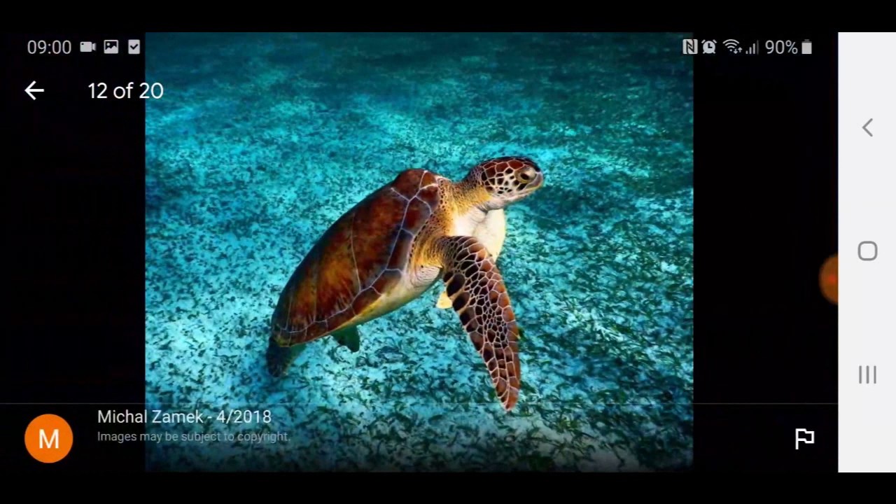 "BELIZE" GOOGLE EARTH EXPLORATION YouTube