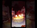 عاليه و فريدة مع عيدالميلاد
