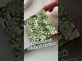Tiny Sketchbook Painting: leafy vines