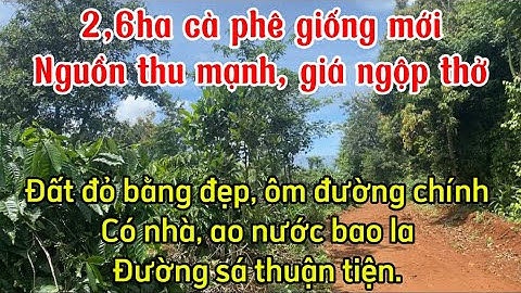 BÁN 2,6HA CÀ PHÊ GIỐNG MỚI XEN TIÊU. Đăk mol, Đăk song, Đăk nông. Giá rẻ nhất khu vực.