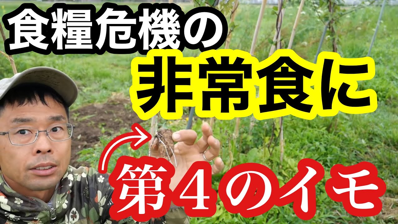 Food self-sufficiency] Why we don't recommend growing your own