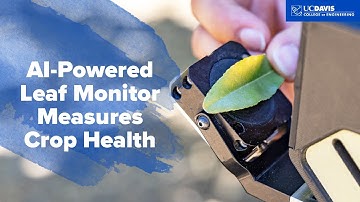 AI-Powered Leaf Monitor Measures Crop Health | UC Davis Digital Ag Lab