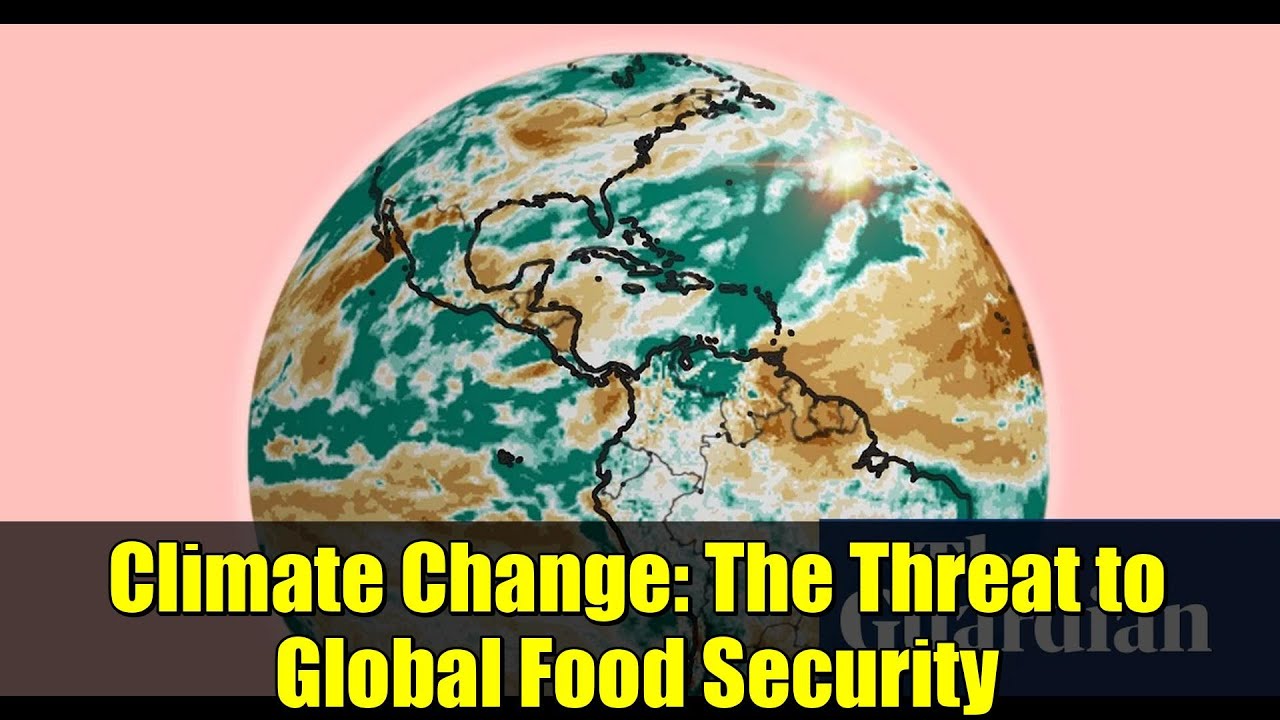 Climate Change: The Threat to Global Food Security | Extreme Weather & Crop Yields