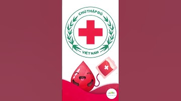 Hội Chữ thập đỏ Việt Nam và các hoạt động nhân đạo
